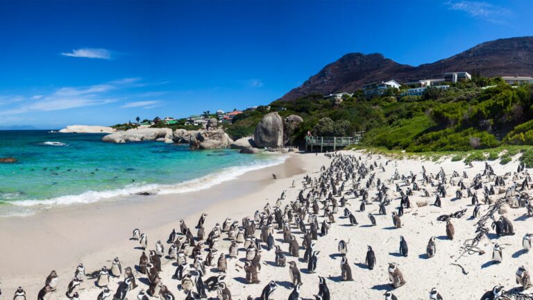 Cape Peninsula