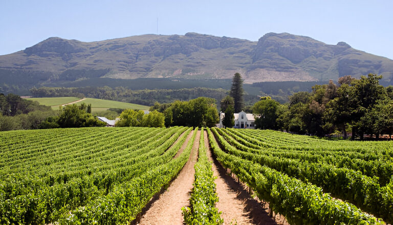 Winelands 2 Upscale